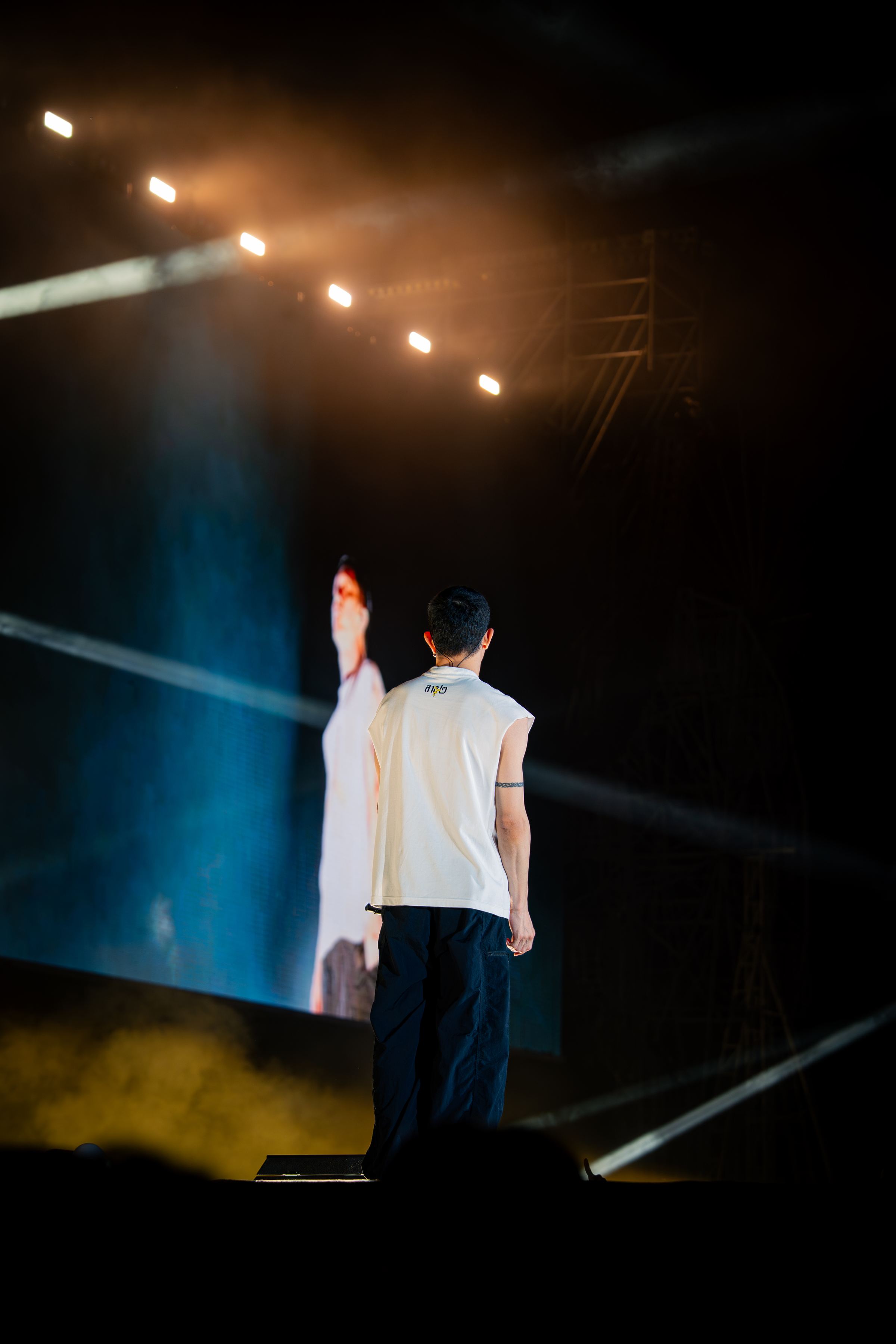 BMMF